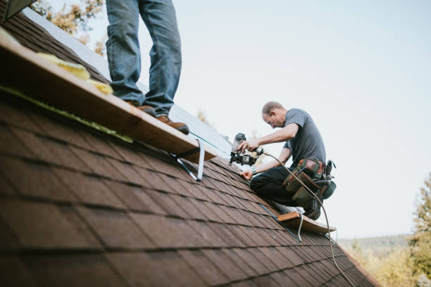Quick and Trustworthy Emergency Roof Repair Services in Alexandria, LA